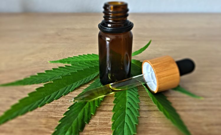 cannabis